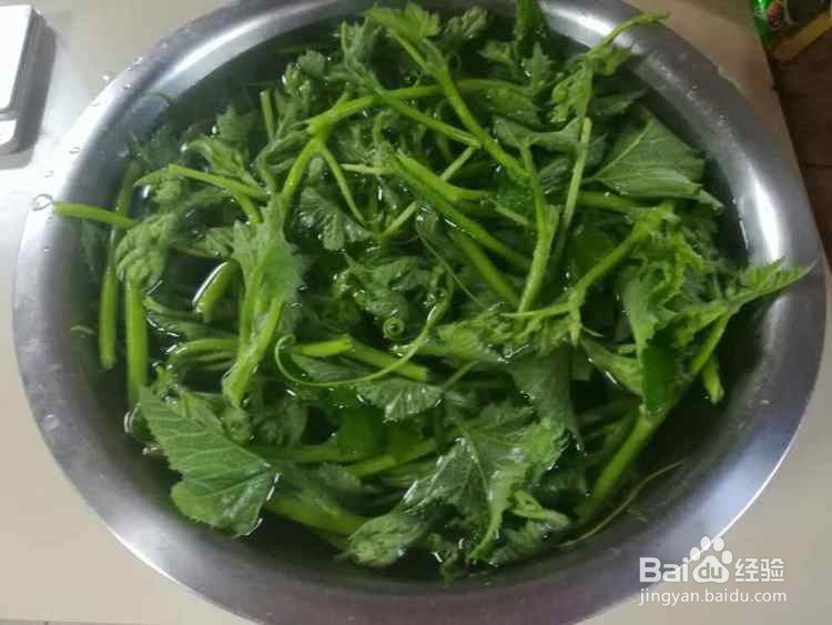 凉拌南瓜藤的做法