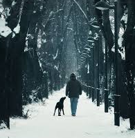 带着狗散步可以帮助老年人活得更久