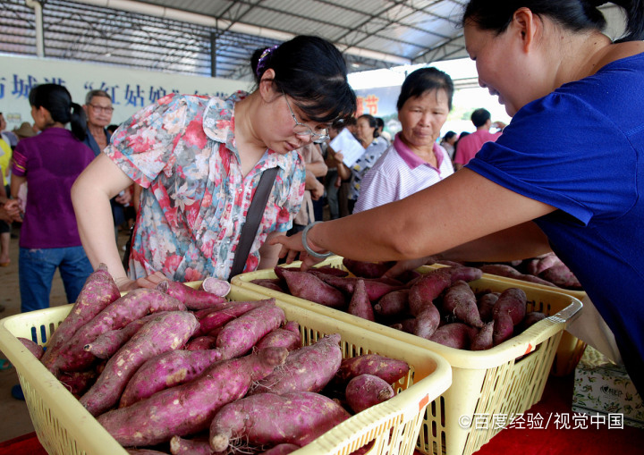 红薯的保存方法,红薯怎么保存一年都不会坏