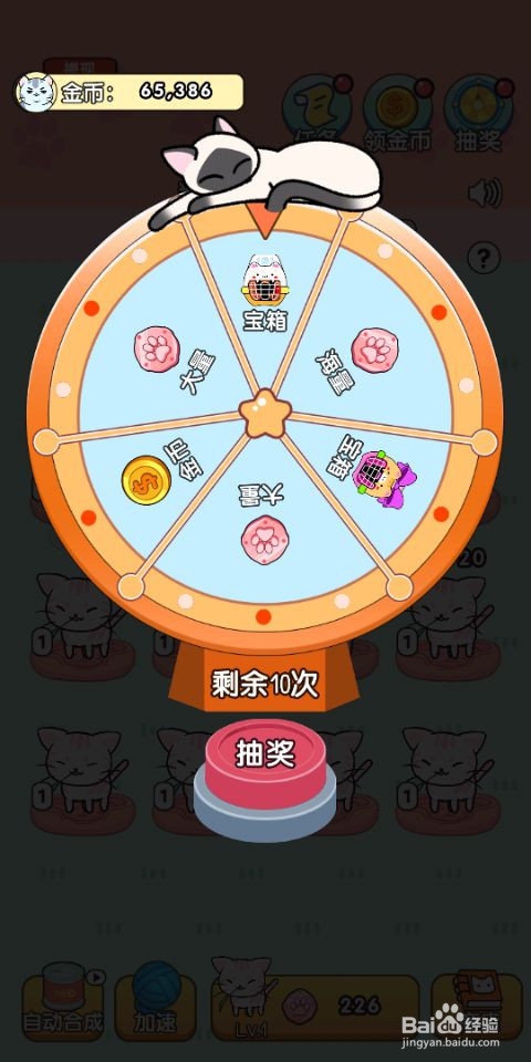 我的小猫这款游戏怎么玩