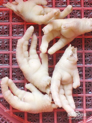 【飞禽走兽】虎皮凤爪