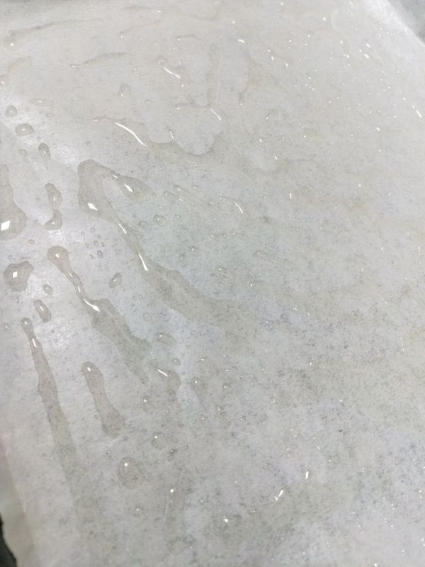 脆底蜂蜜小面包