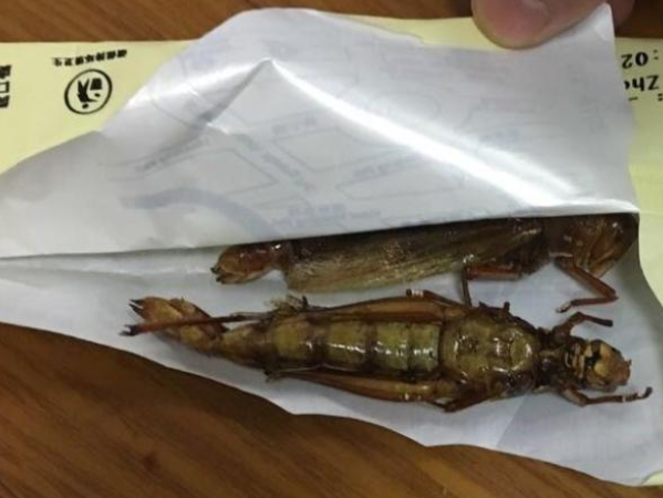 吃蚂蚱禁忌