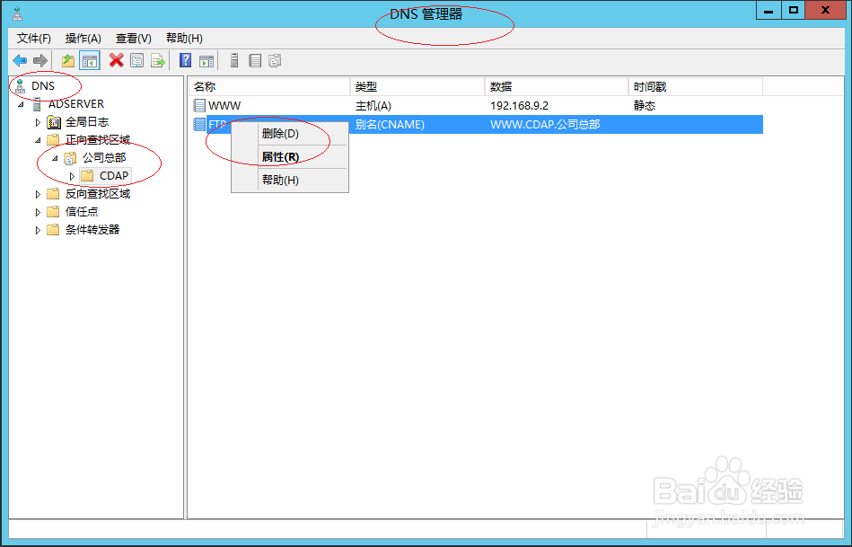 Windows Server 2012 R2查看DNS别名记录属性