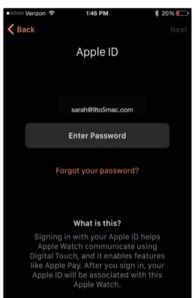 apple watch上的i标志在哪