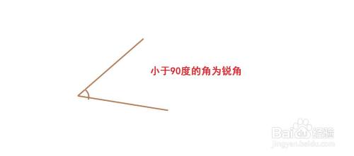 小学数学知识 角的定义以及分类 百度经验