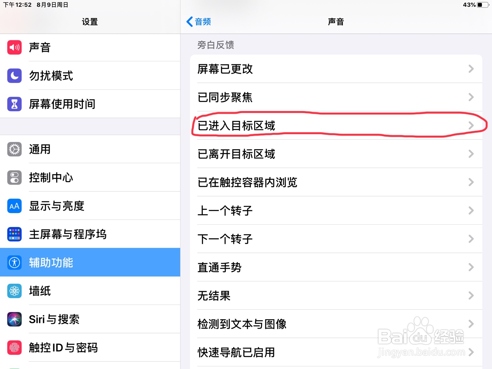 iPad怎么在旁白设置已进入目标区域的预览