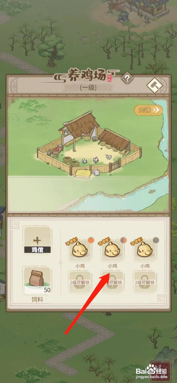 解忧小村落如何饲养小鸡