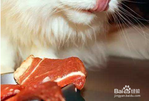 狗狗得了鞭毛虫怎么治