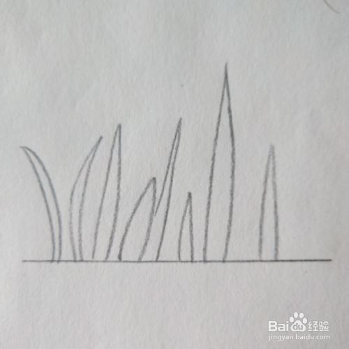 简单水草花教程 百度经验