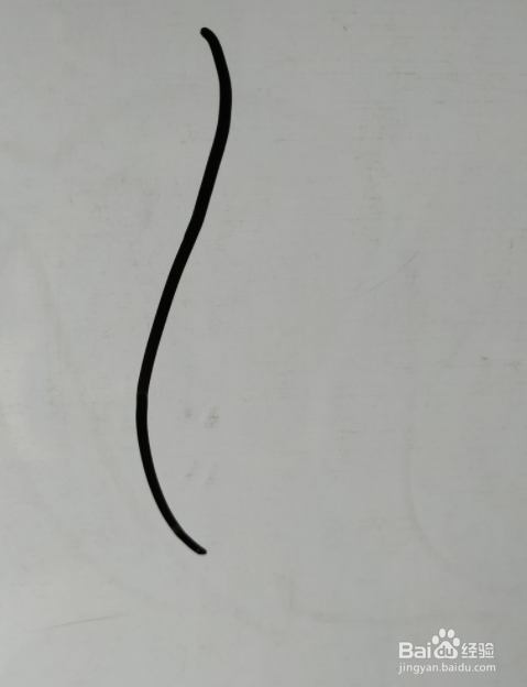 如何画海狮的儿童画？