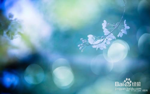 如何在校园找到靠谱的兼职