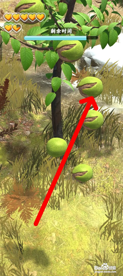 夺笋高手获得核桃怎么做