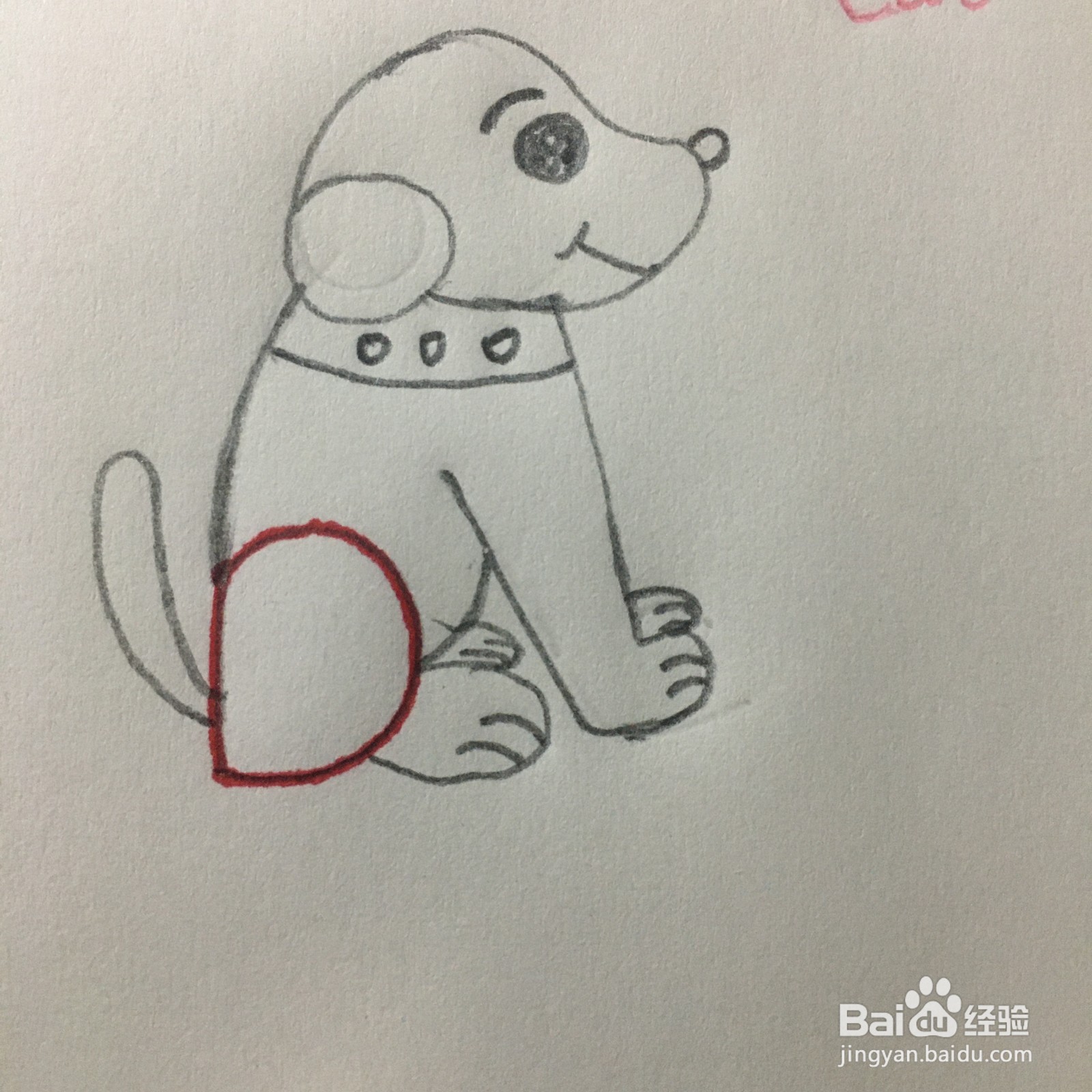 怎么用字母D画简笔画小狗？