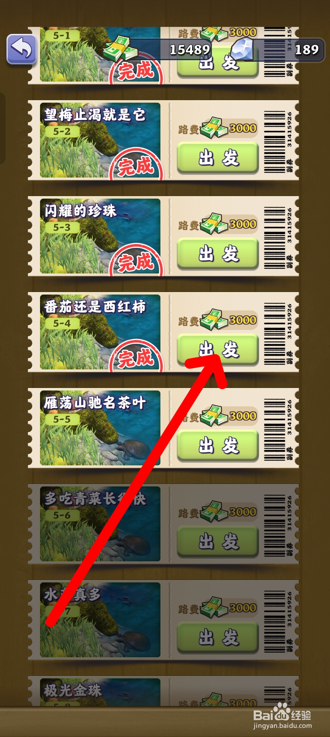 夺笋高手去哪里采摘西红柿