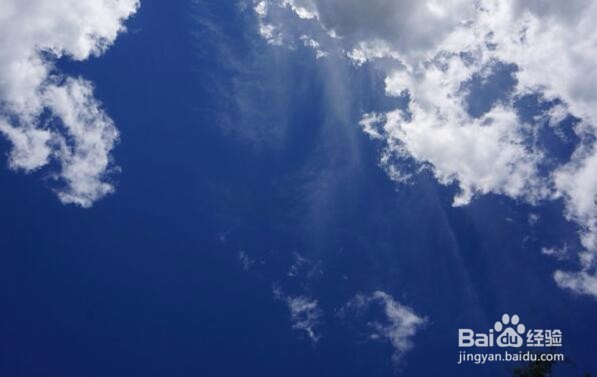 气血不足怎么办？补气血的食疗方