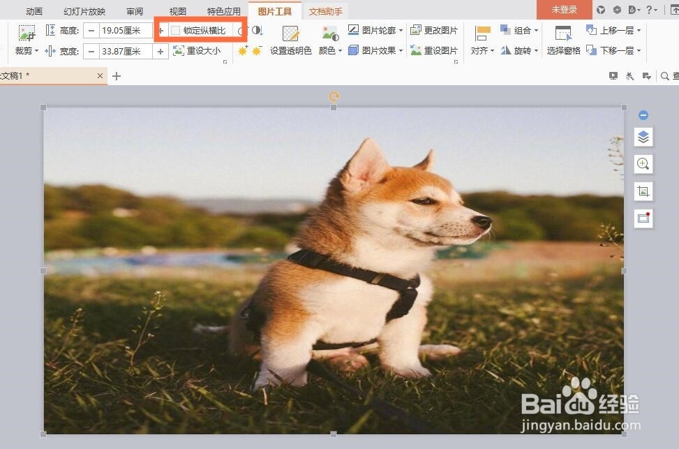 怎么把PPT图片放大到幻灯片大小？