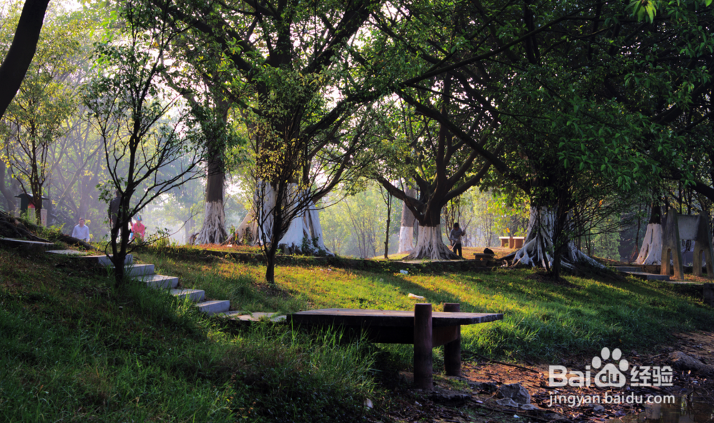大夫山烧烤攻略