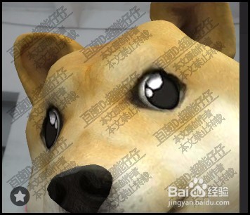 抖音如何甩狗头抖音甩狗头怎么玩