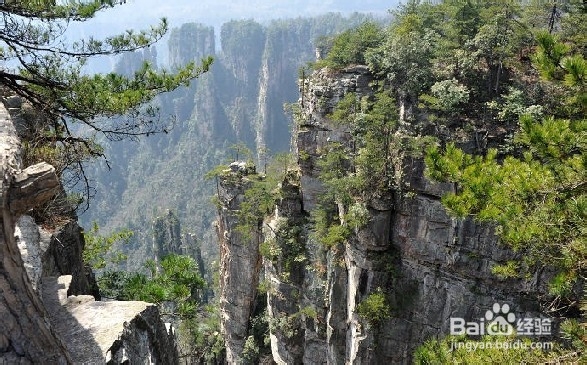 张家界自驾车俱乐部