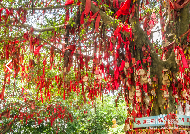 广州摩星岭游记-好玩么怎样去