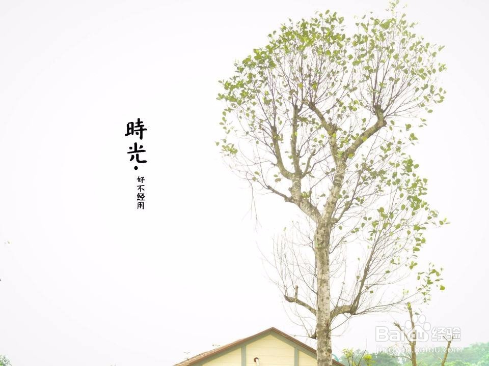 感觉自己老了怎么办
