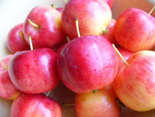 怎样吃好丽江美食