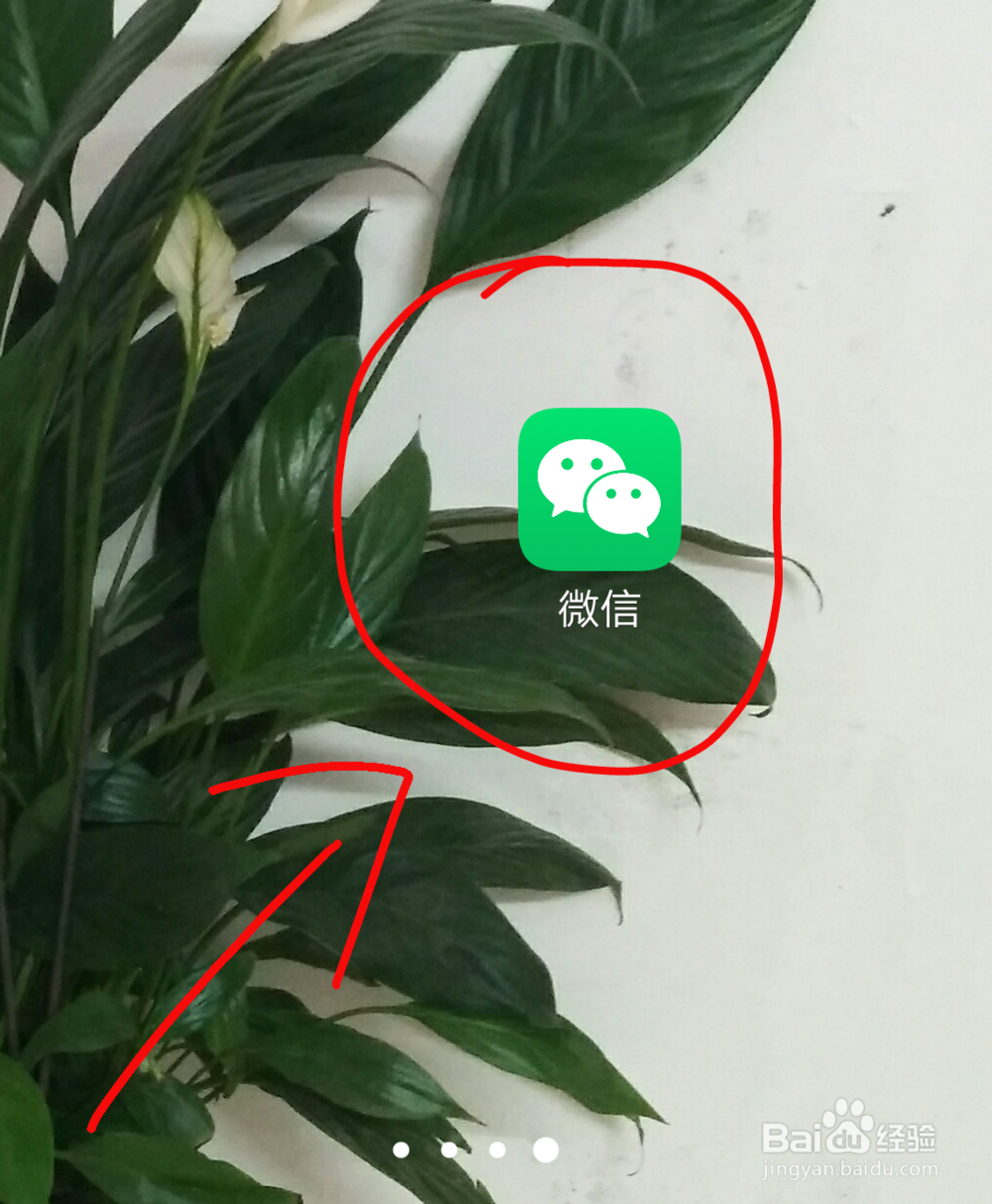 微信月账单怎么查询