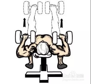 只需一对哑铃,在家锻炼全身肌肉!