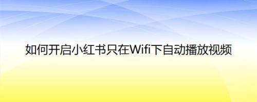 如何开启小红书只在Wifi下自动播放视频