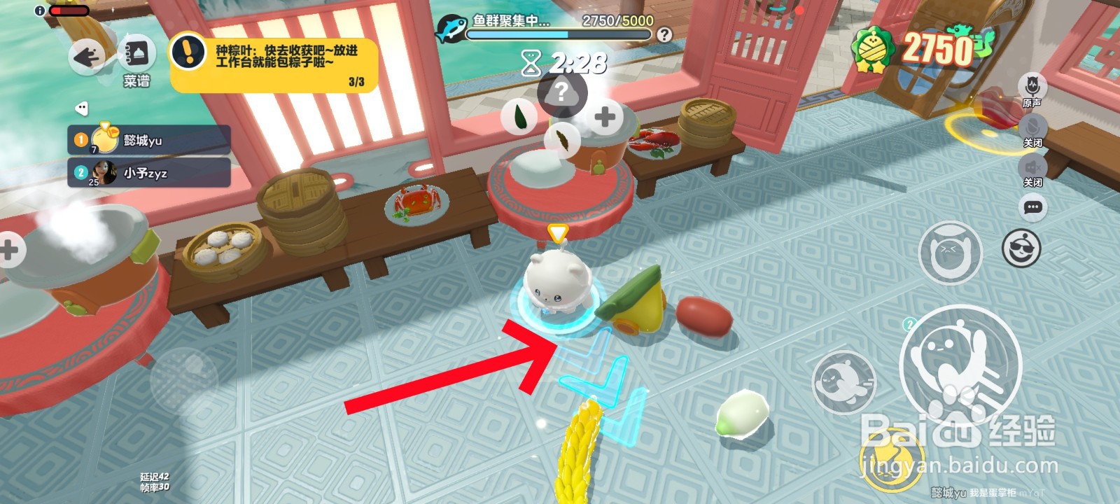 如何将粽子投喂给蝴蝶鱼