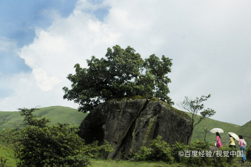 城步南山,平均海拔1760米,景色獨特.