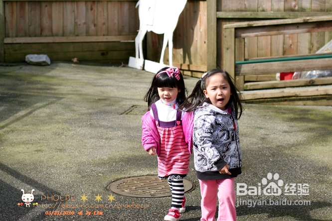 拾海的孩子&亲亲小动物(组图)