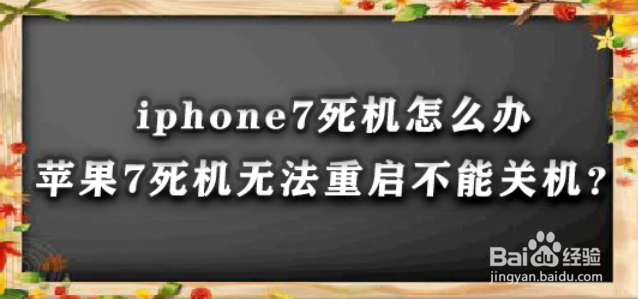 <b>iphone7死机怎么办苹果7死机无法重启不能关机</b>