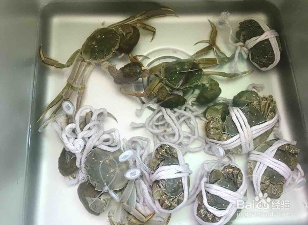 教你做清蒸大闸蟹