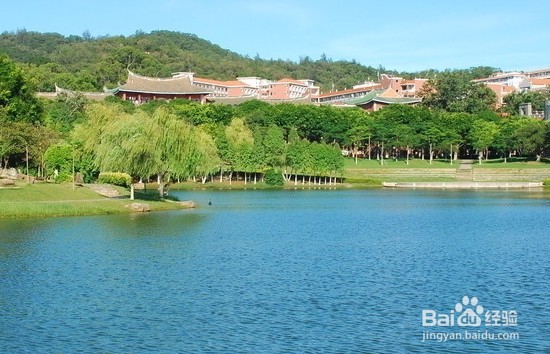 如何度过在大学的四年让它更有意义