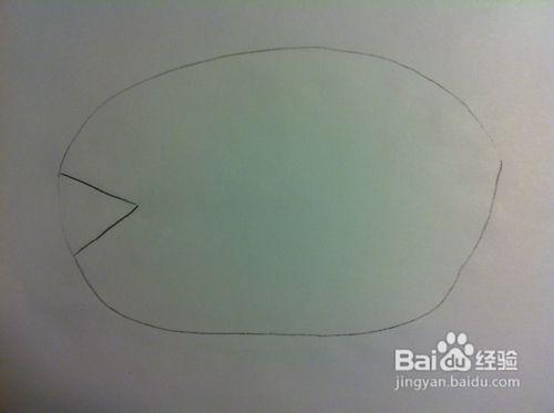 教你画动物——小鱼