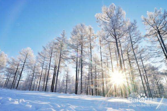 2020元旦放假安排时间表 2020元旦放假攻略