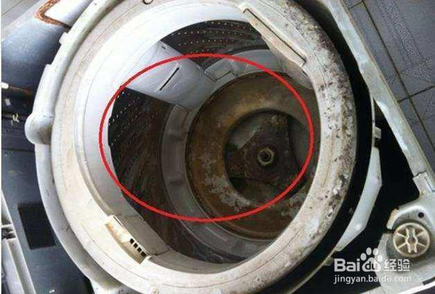 如何利用白醋和小苏打清洗洗衣机