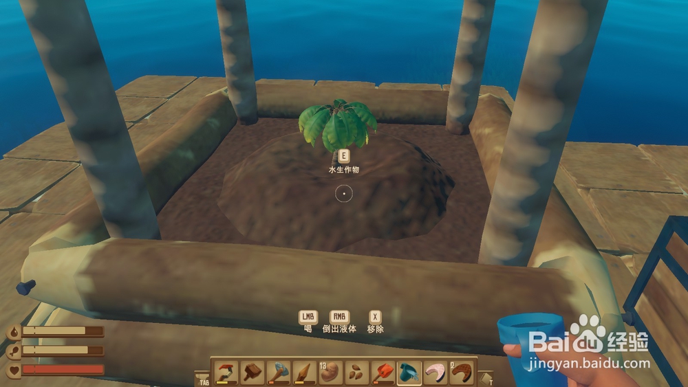 raft木筏求生怎么种棕榈树