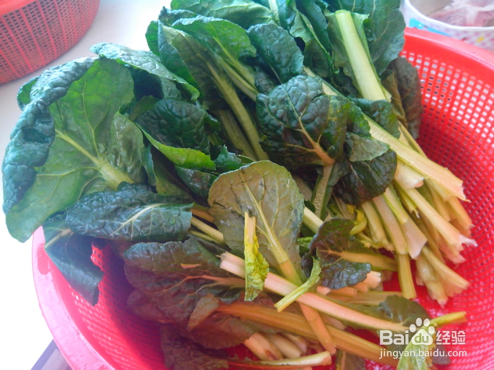 苔菜的营养价值——苔菜豆腐泡的做法