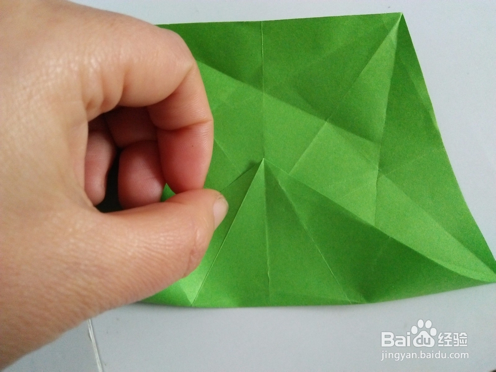 漂亮的杨桃花怎么折