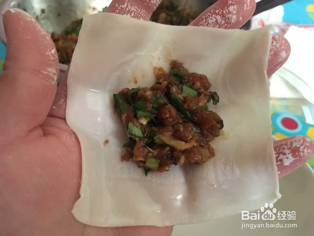 忍不住流口水的元宝猪肉云吞