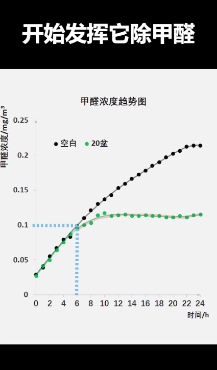 绿萝是否能除甲醛?