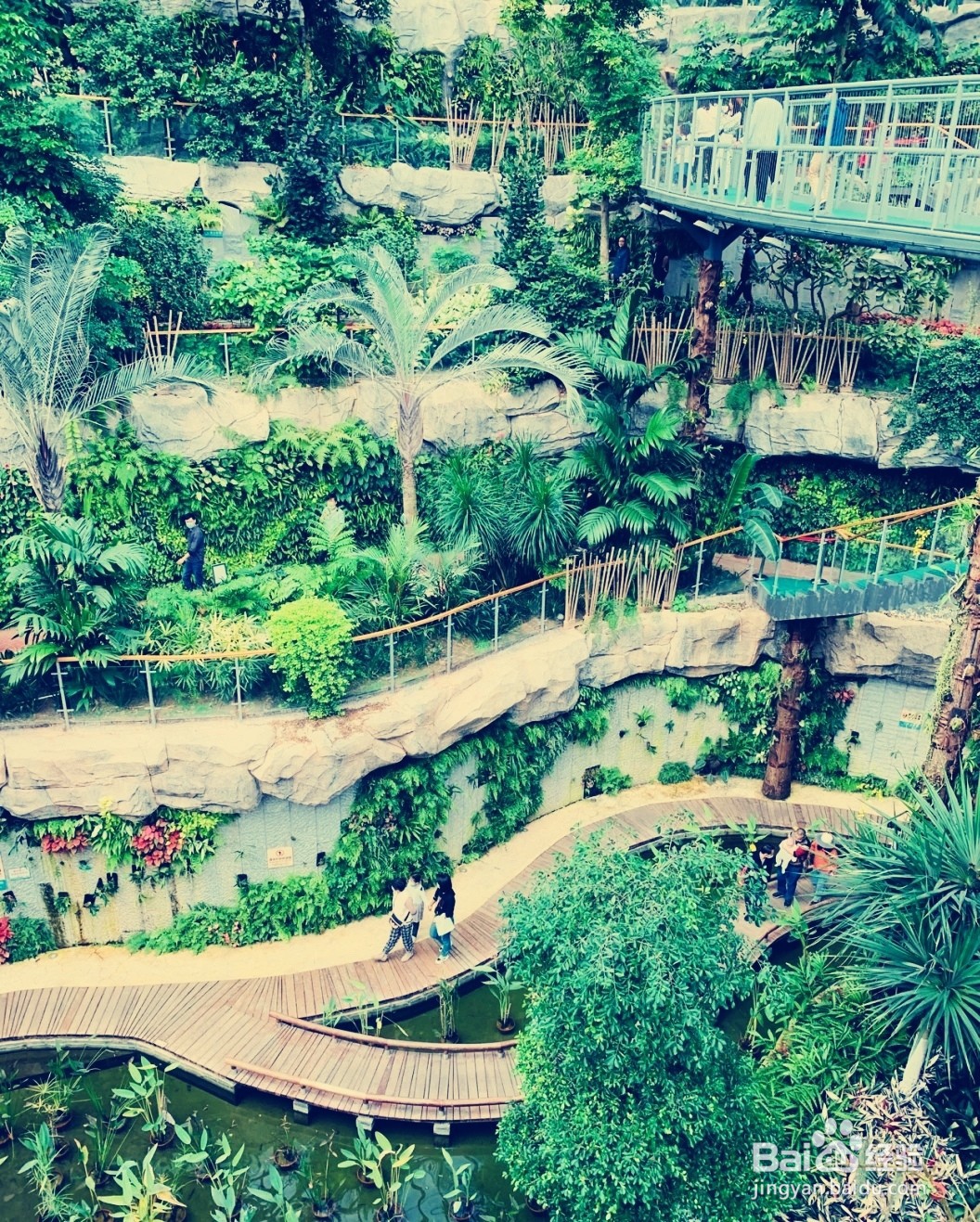 惠州植物园一日游攻略