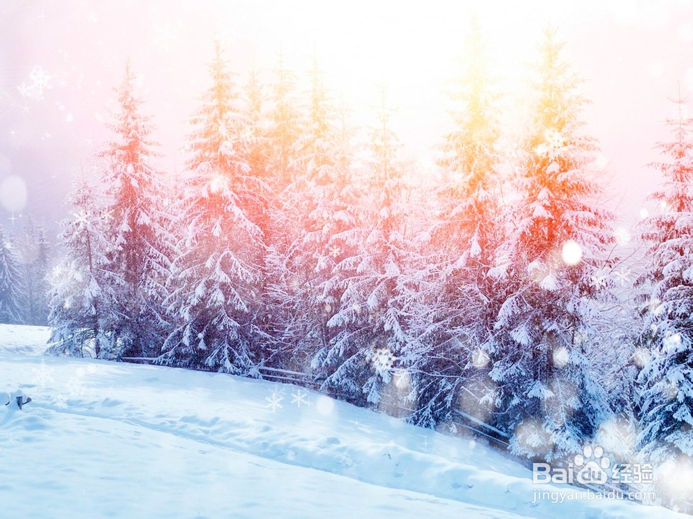 “小雪”节气将至,养生注意早知道: