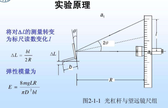 如何简单说明弹性模量的影响因素