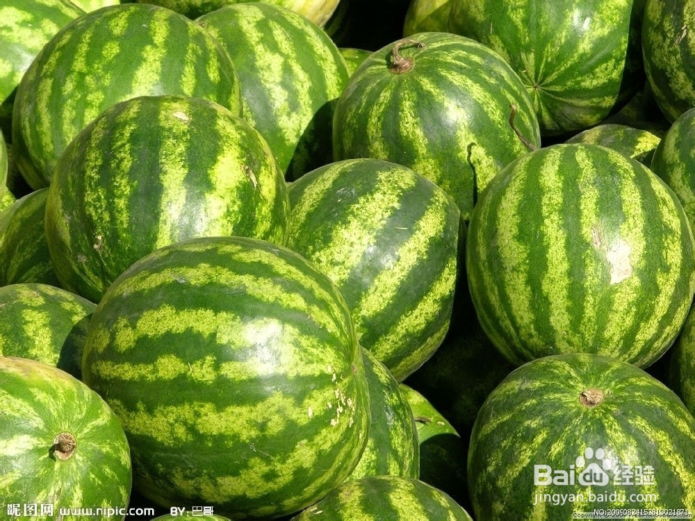 减肥食品有哪些 3种吃不胖的水果