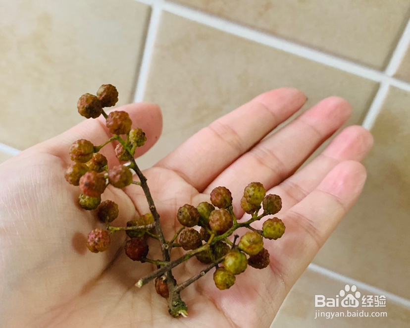 孩子爱吃的香辣梭子蟹