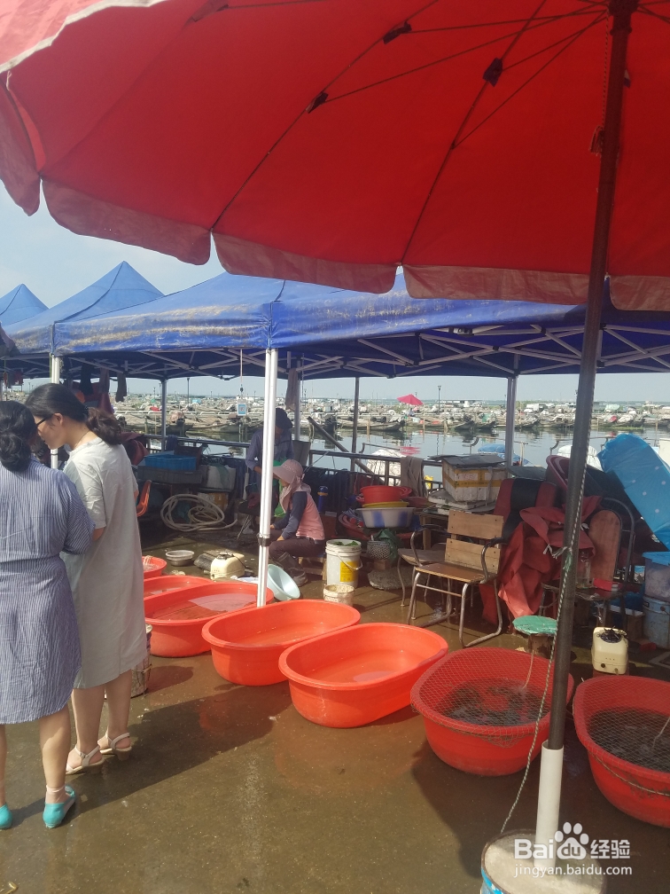 简单无压力做大闸蟹法